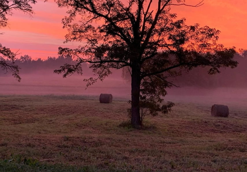 Savoyard EdmontonMetcalfe County Chamber of Commerce